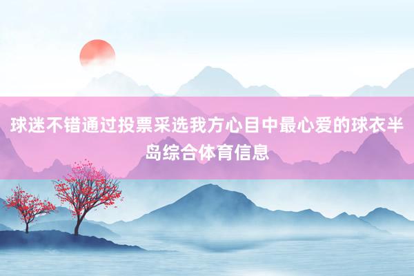 球迷不错通过投票采选我方心目中最心爱的球衣半岛综合体育信息
