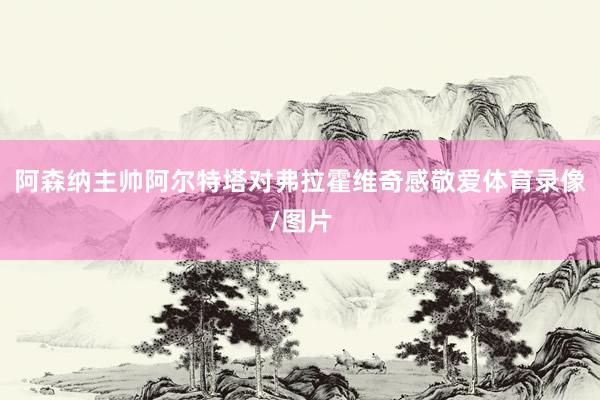 阿森纳主帅阿尔特塔对弗拉霍维奇感敬爱体育录像/图片