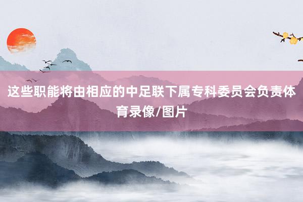 这些职能将由相应的中足联下属专科委员会负责体育录像/图片
