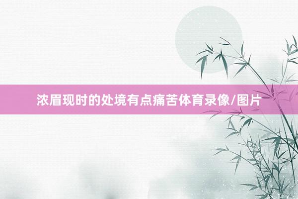浓眉现时的处境有点痛苦体育录像/图片