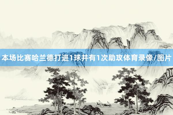 本场比赛哈兰德打进1球并有1次助攻体育录像/图片