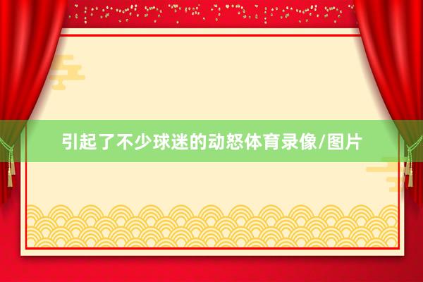 引起了不少球迷的动怒体育录像/图片
