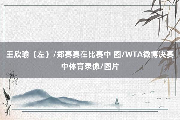 王欣瑜（左）/郑赛赛在比赛中 图/WTA微博决赛中体育录像/图片