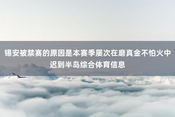 锡安被禁赛的原因是本赛季屡次在磨真金不怕火中迟到半岛综合体育信息
