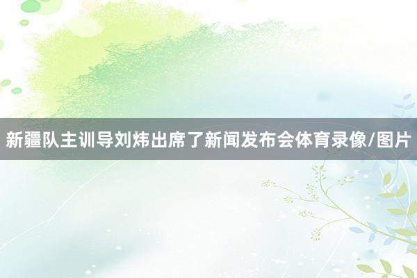 新疆队主训导刘炜出席了新闻发布会体育录像/图片