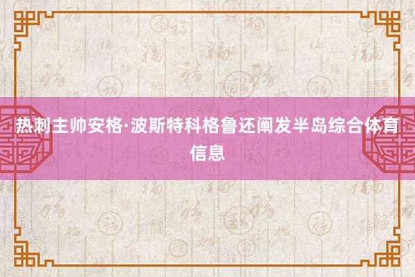 热刺主帅安格·波斯特科格鲁还阐发半岛综合体育信息