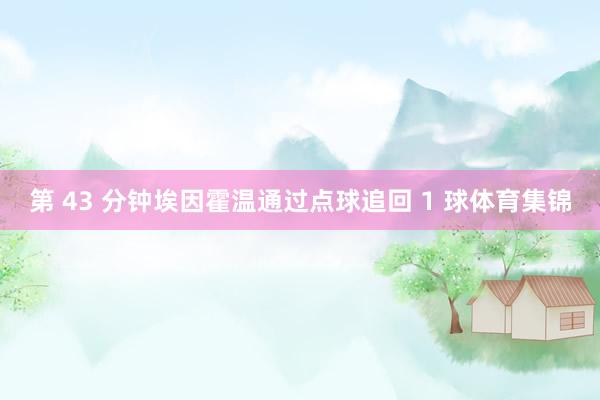 第 43 分钟埃因霍温通过点球追回 1 球体育集锦