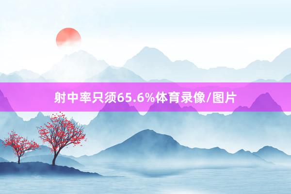 射中率只须65.6%体育录像/图片