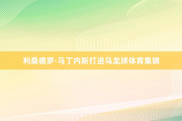 利桑德罗·马丁内斯打进乌龙球体育集锦