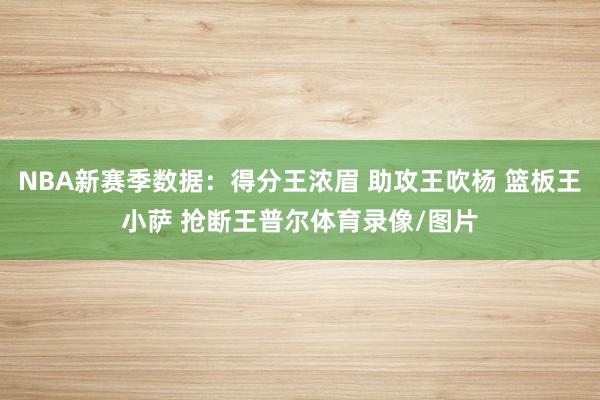 NBA新赛季数据：得分王浓眉 助攻王吹杨 篮板王小萨 抢断王普尔体育录像/图片