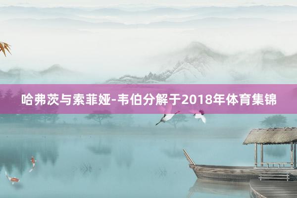 哈弗茨与索菲娅-韦伯分解于2018年体育集锦